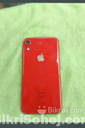 iPhone xr